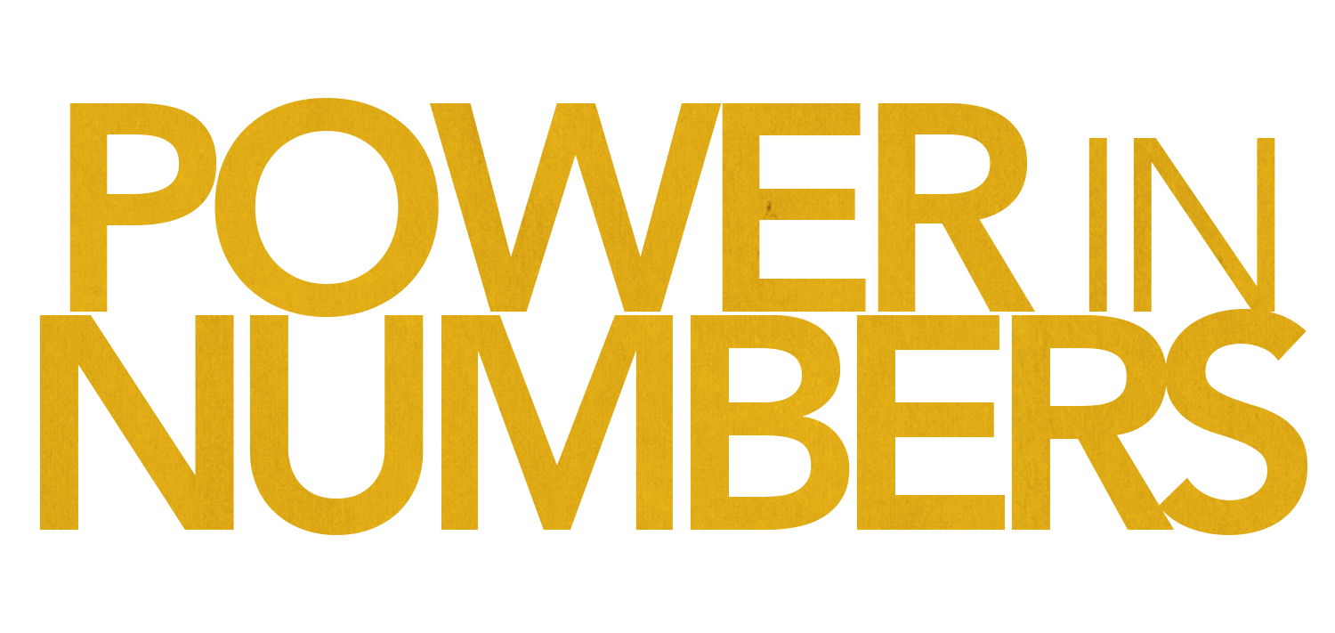 Power in Numbers Logo
